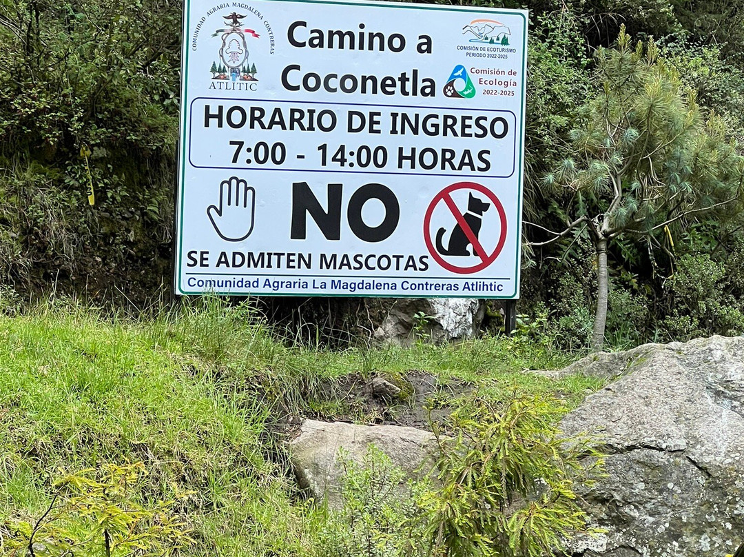 Los Dinamos-墨西哥城必去景点