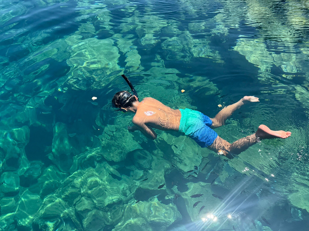 The Pirate Private Fishing Tours-伊亚必去景点