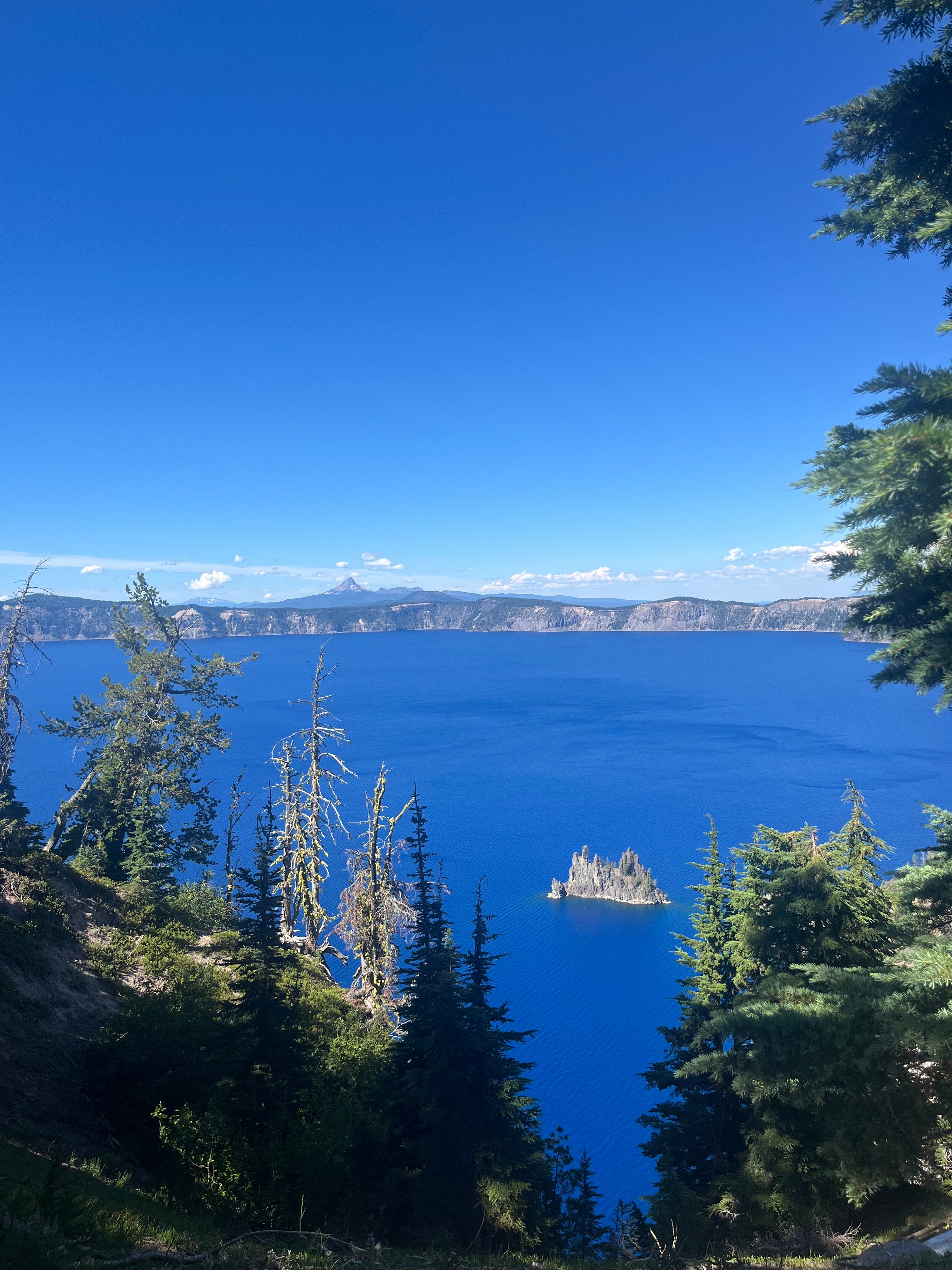 Maple Leaf Motel-官方