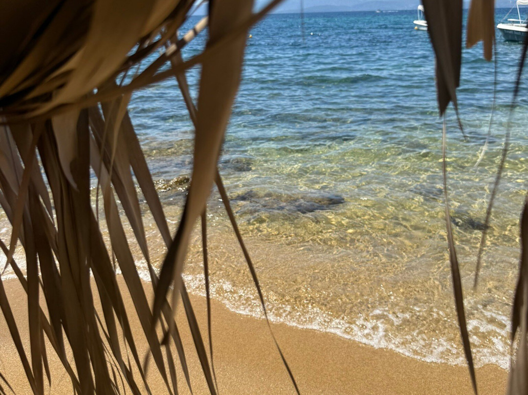 Diamandi Beach-斯亚索斯必去景点