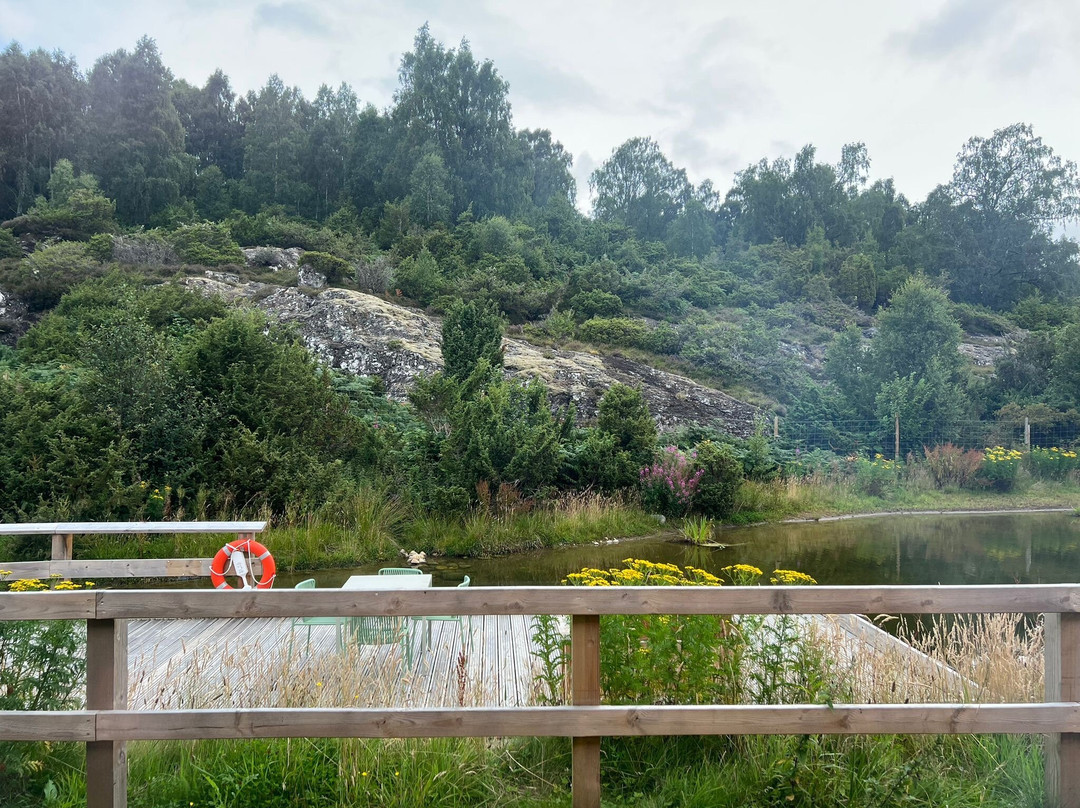 Dundreggan Rewilding Centre-因弗内斯必去景点