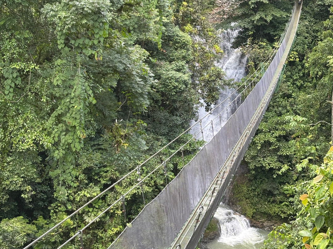 Tony Corona Tours-克波斯必去景点