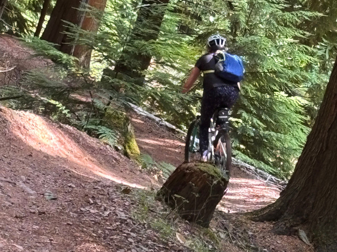 Forest of Dean Cycle Centre-Coleford必去景点