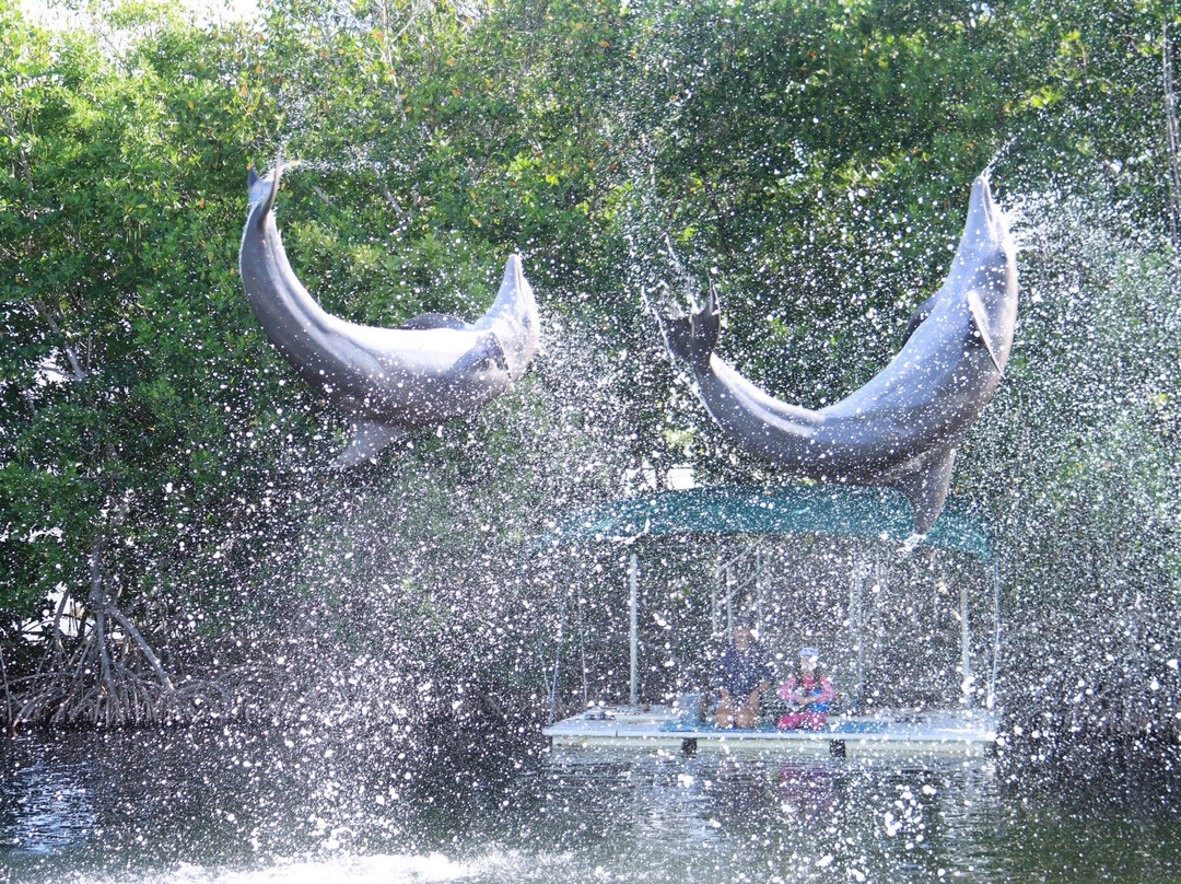 海豚商店-基拉戈-拉哥岛必去景点