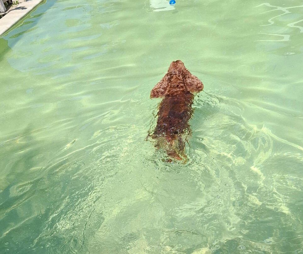 Villaggio Club Degli Ulivi主图