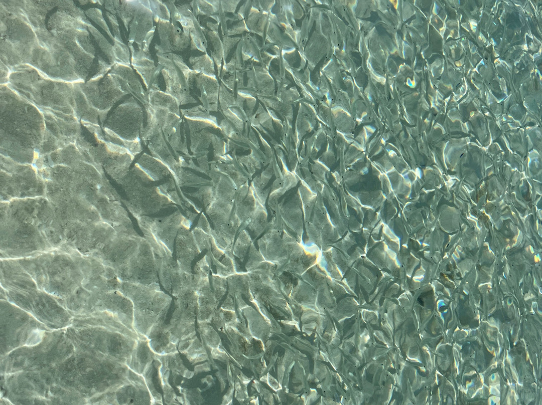 Jaws Beach-拿骚必去景点