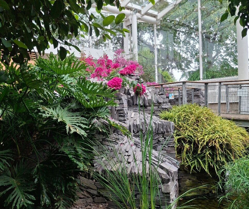 Jephsons Glasshouse-皇家利明顿温泉必去景点