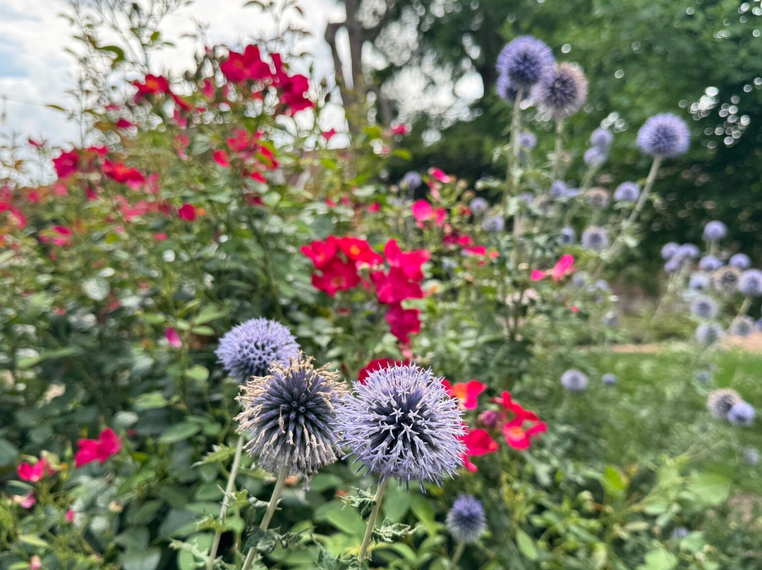 Talbot House - Museum-波佩林格必去景点