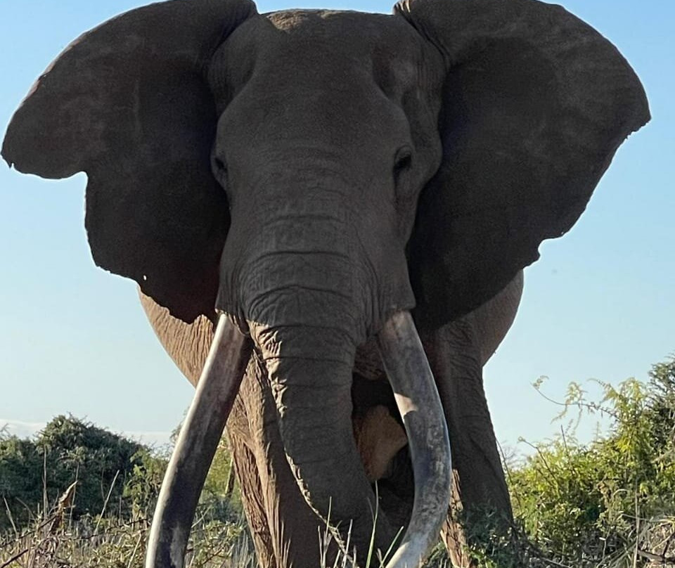 Amboseli Cultural Tours-Amboseli Eco-system必去景点