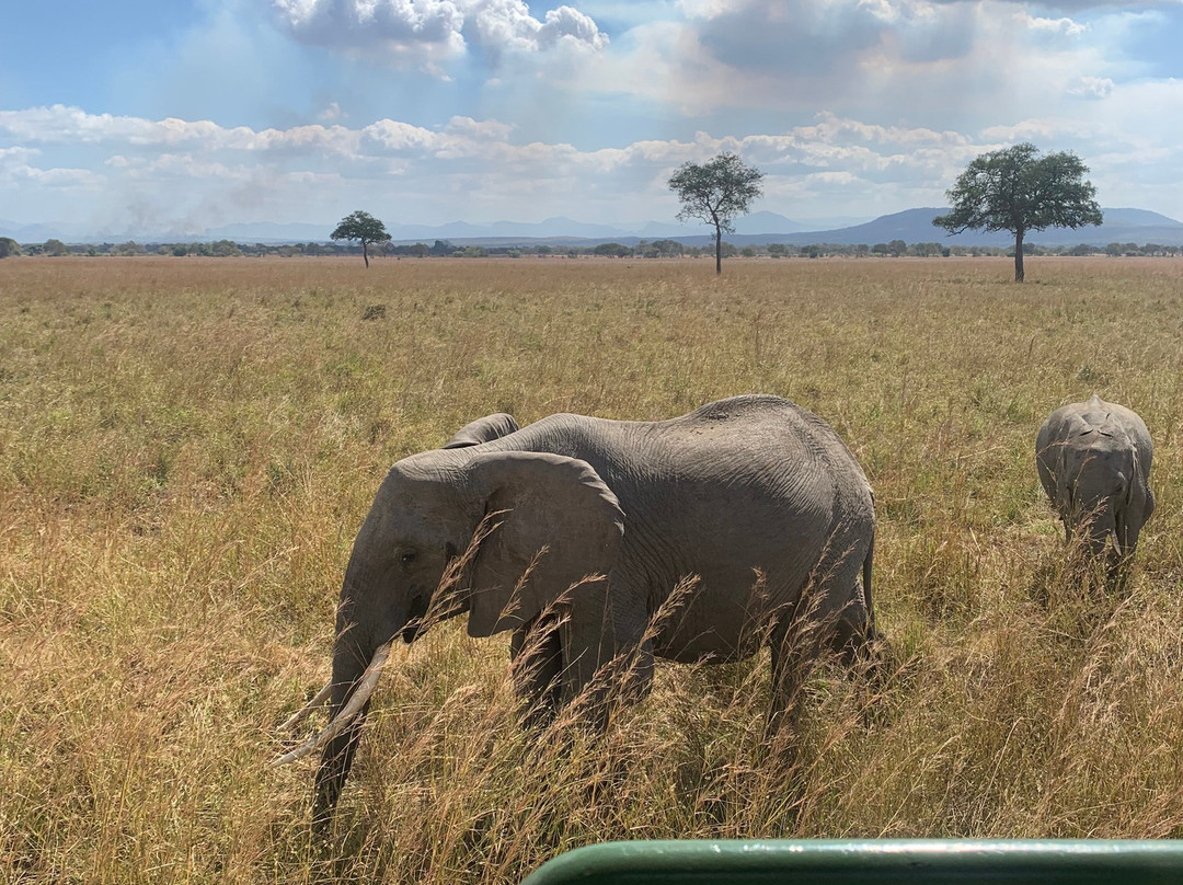 Kasaka Tours-Dar es Salaam必去景点