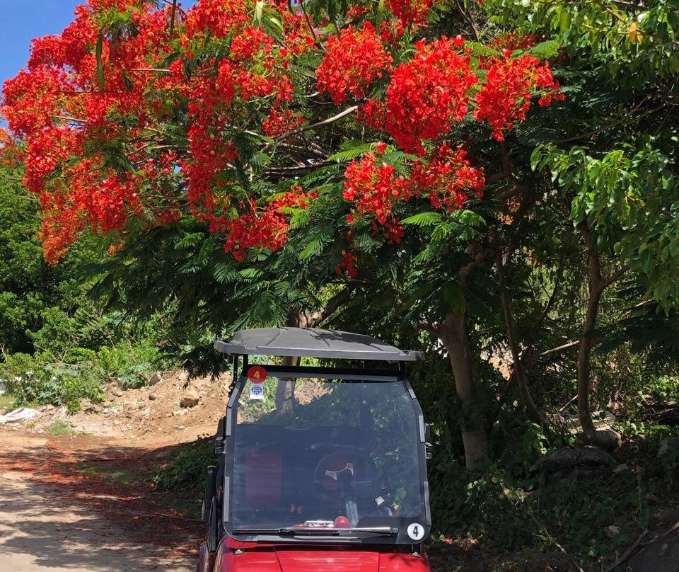 Golf Cart Rental Les Saintes-Terre-de-Haut必去景点