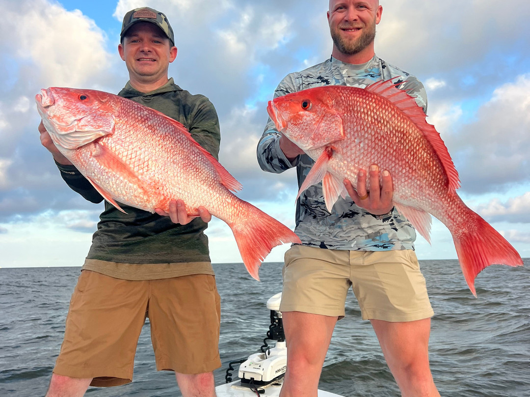 Southern Access Charters-Venice必去景点