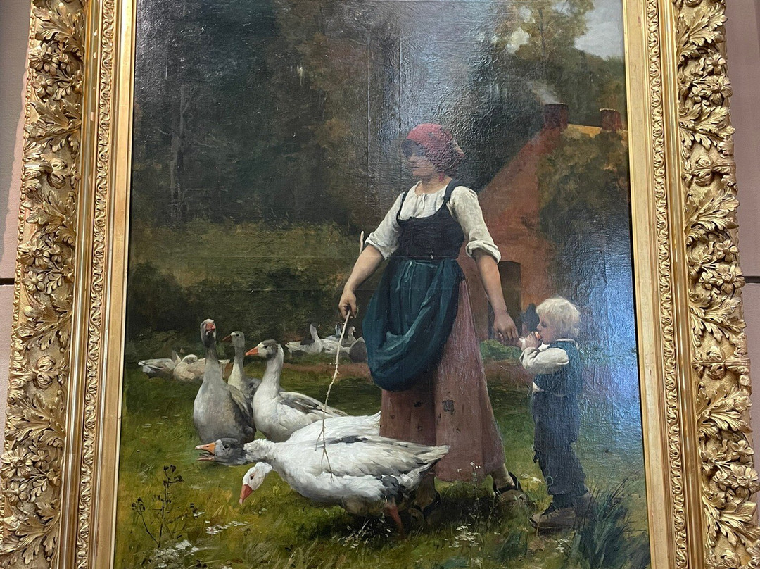 Musée des Beaux-Arts-卡尔卡松必去景点