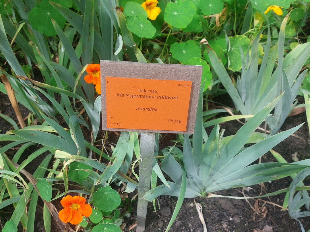 Stichting Arboretum Oudenbosch-Oudenbosch必去景点