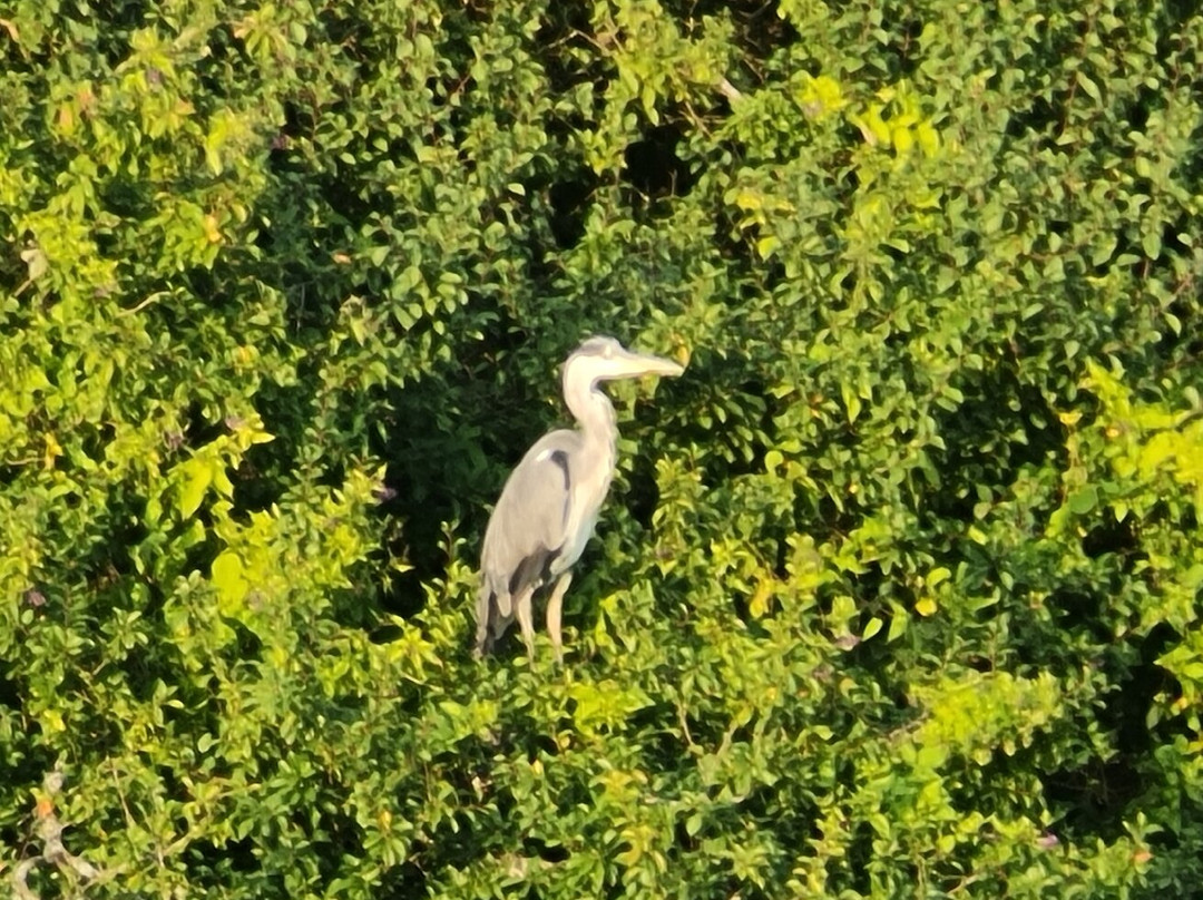 The Riverside Inn主图