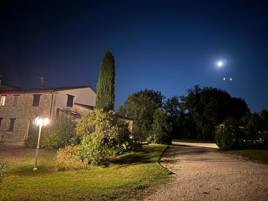 Alle Pendici del Conero主图