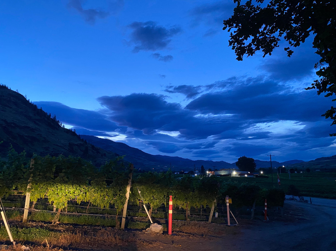 Castoro De Oro Estate Winery-Oliver必去景点