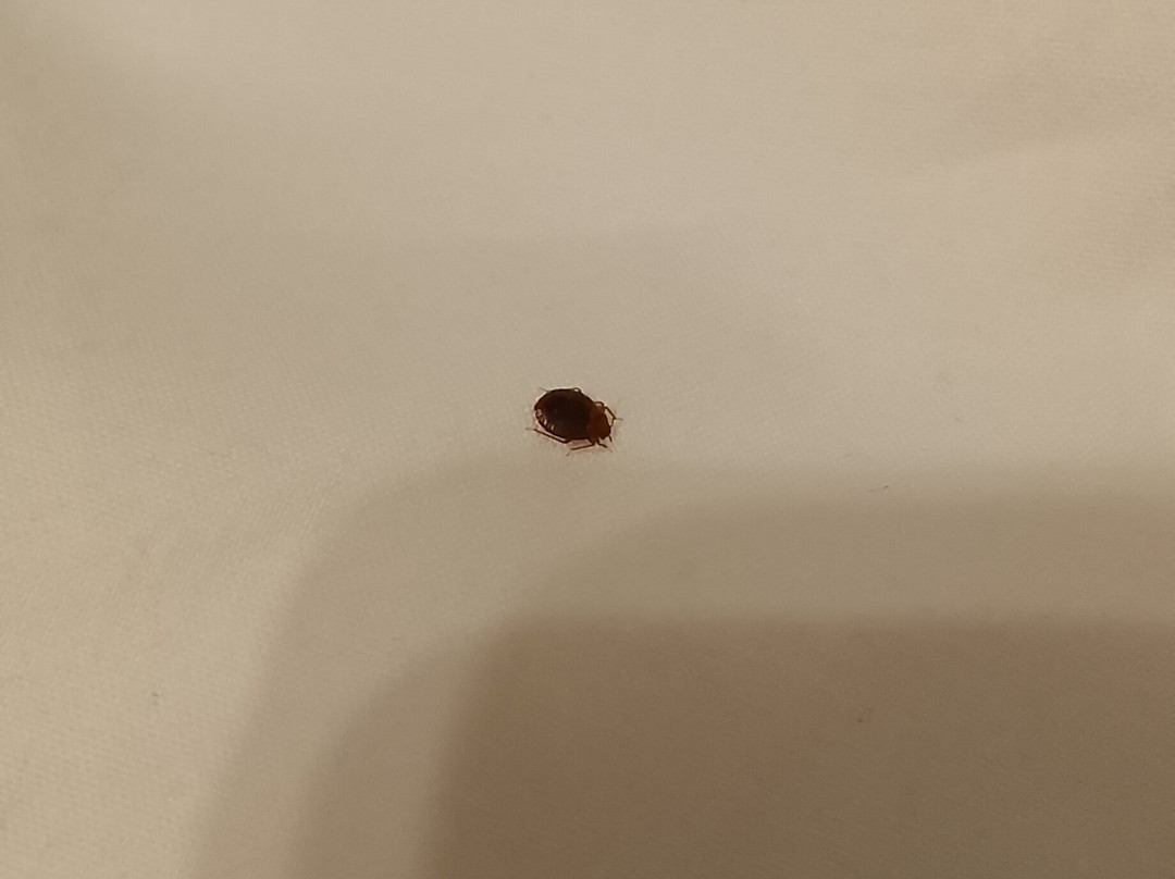 Hotel de la Vendee主图