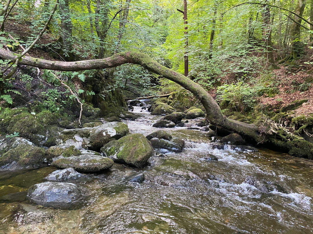 Stock Ghyll Force-安布赛德必去景点