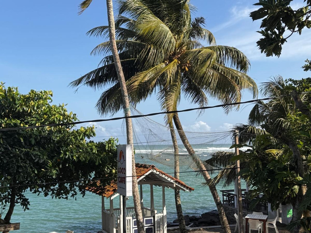 Culture Resort主图