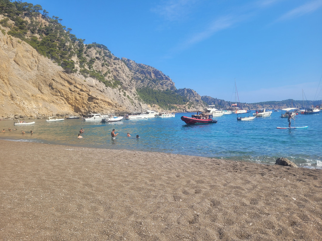 Platja Des Coll Baix-阿库迪亚必去景点