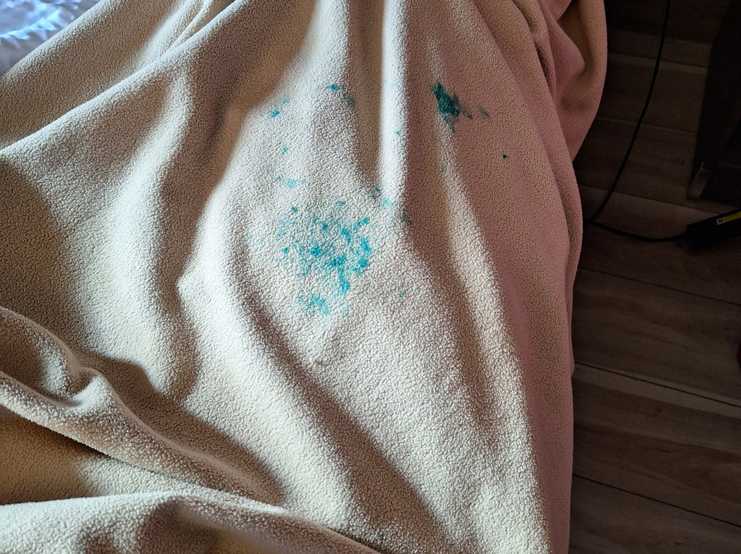 Red Roof Inn Queensbury主图