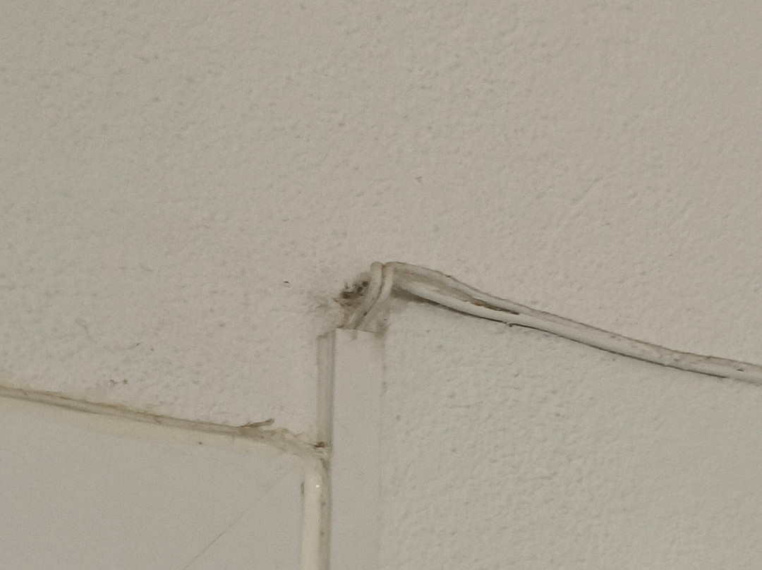 Hotel Residence U Paesolu主图