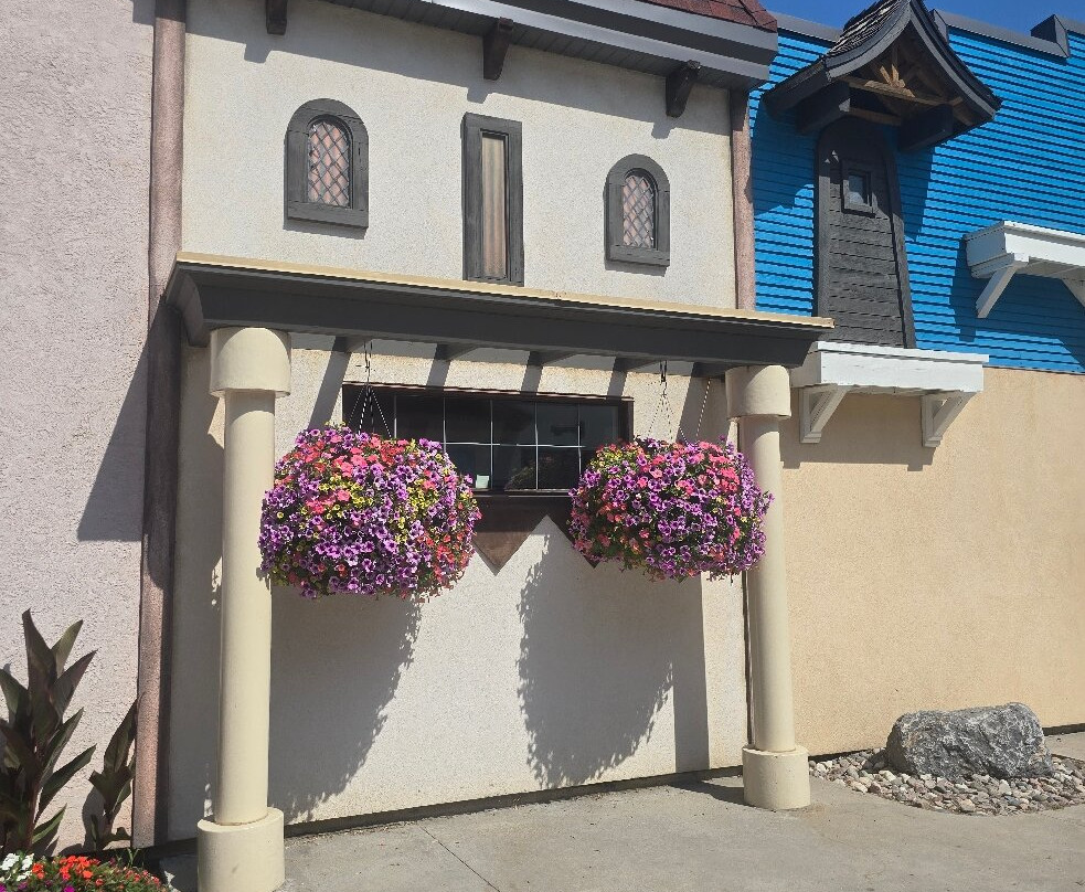 Calypso Water Park-安大略省必去景点