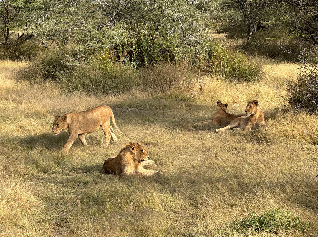 Warrior Trails-阿鲁沙必去景点