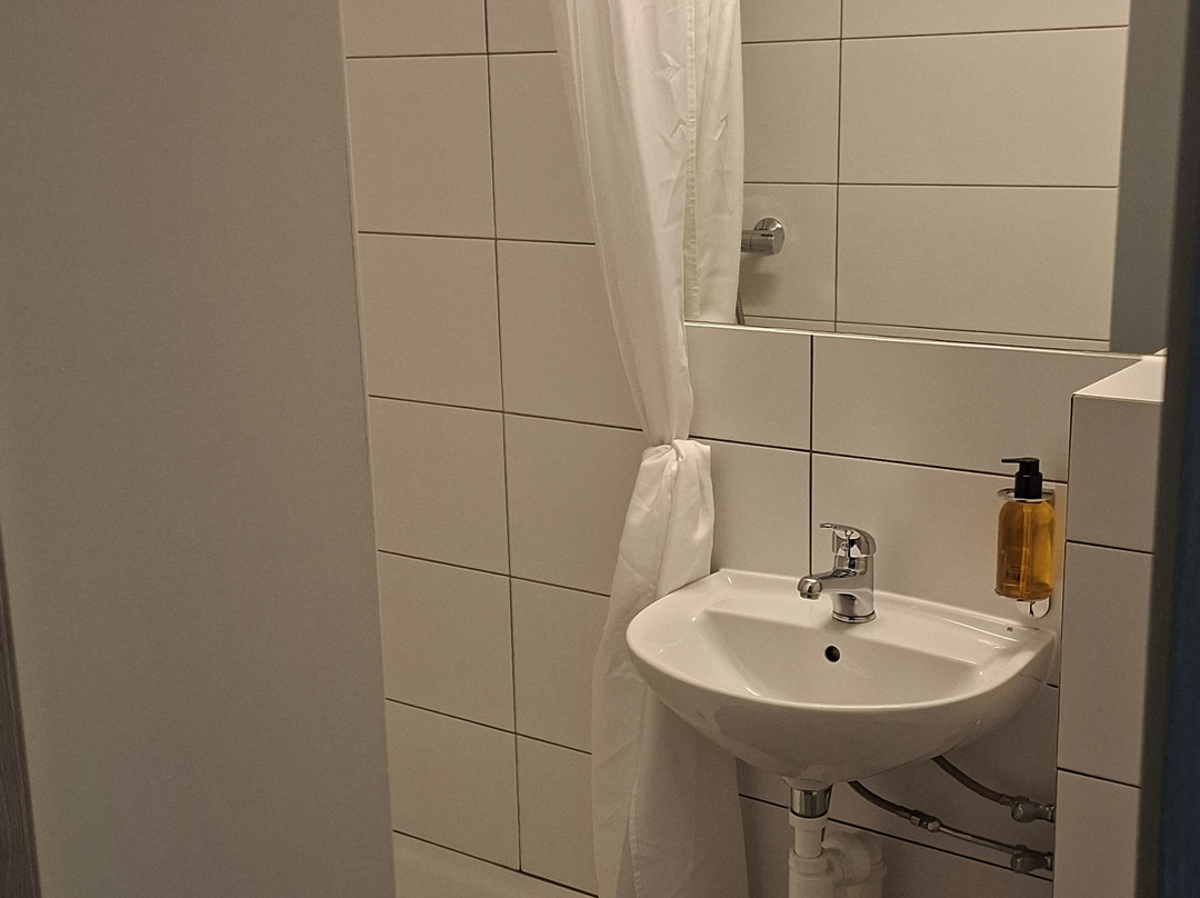 Hotel Hallormsstadur主图