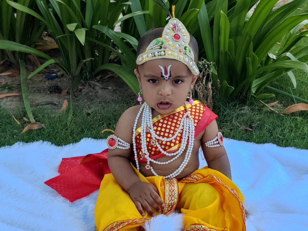 Pride Amber Vilas Resort主图