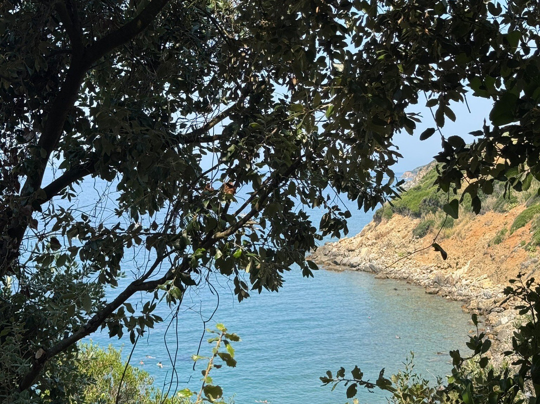 Spiaggia di Calamoresca-皮翁比诺必去景点