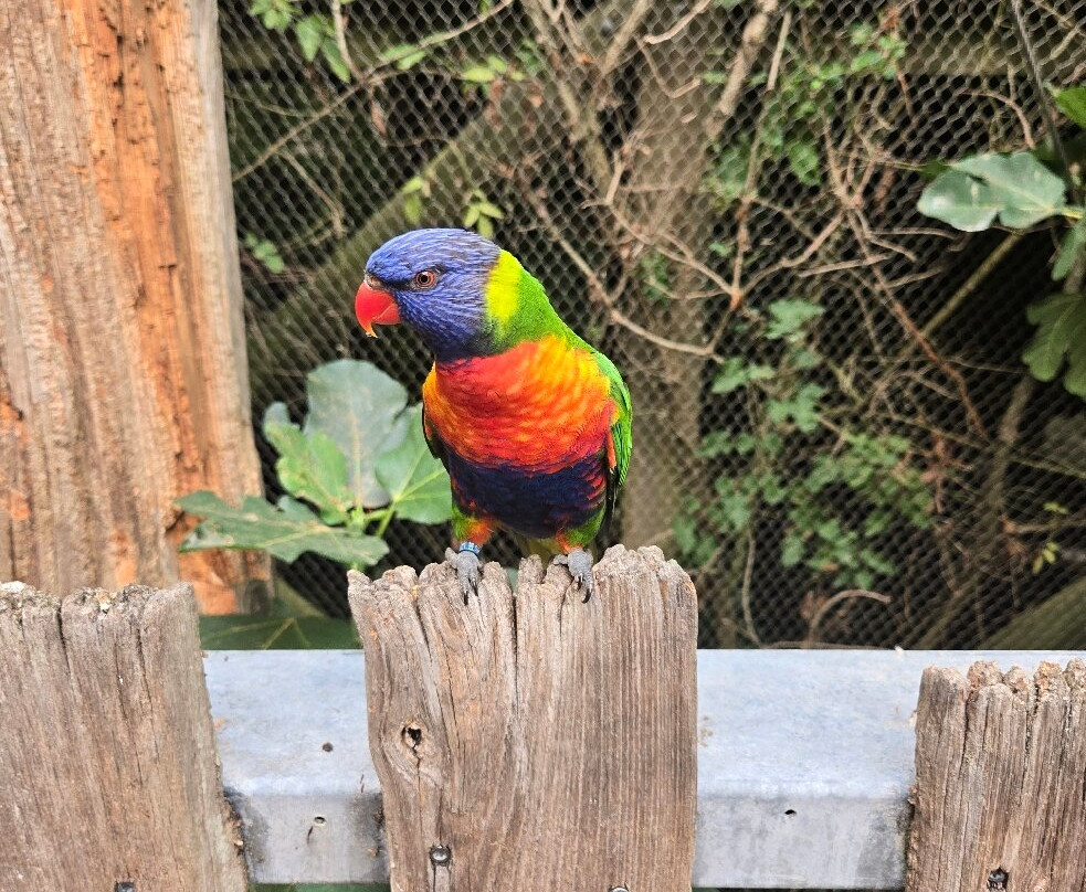 Zoo des Sables-莱萨布勒多洛讷必去景点