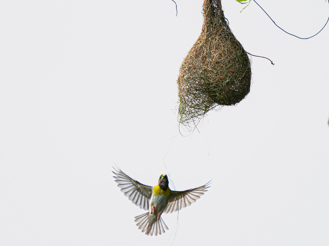 North Lanka Nature Trails-Kilinochchi必去景点