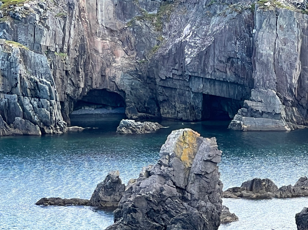 Spiller's Cove-Twillingate必去景点