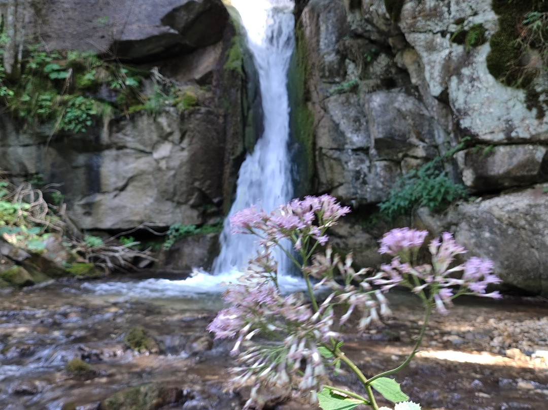 Small & Lovely Hotel Zaluna主图