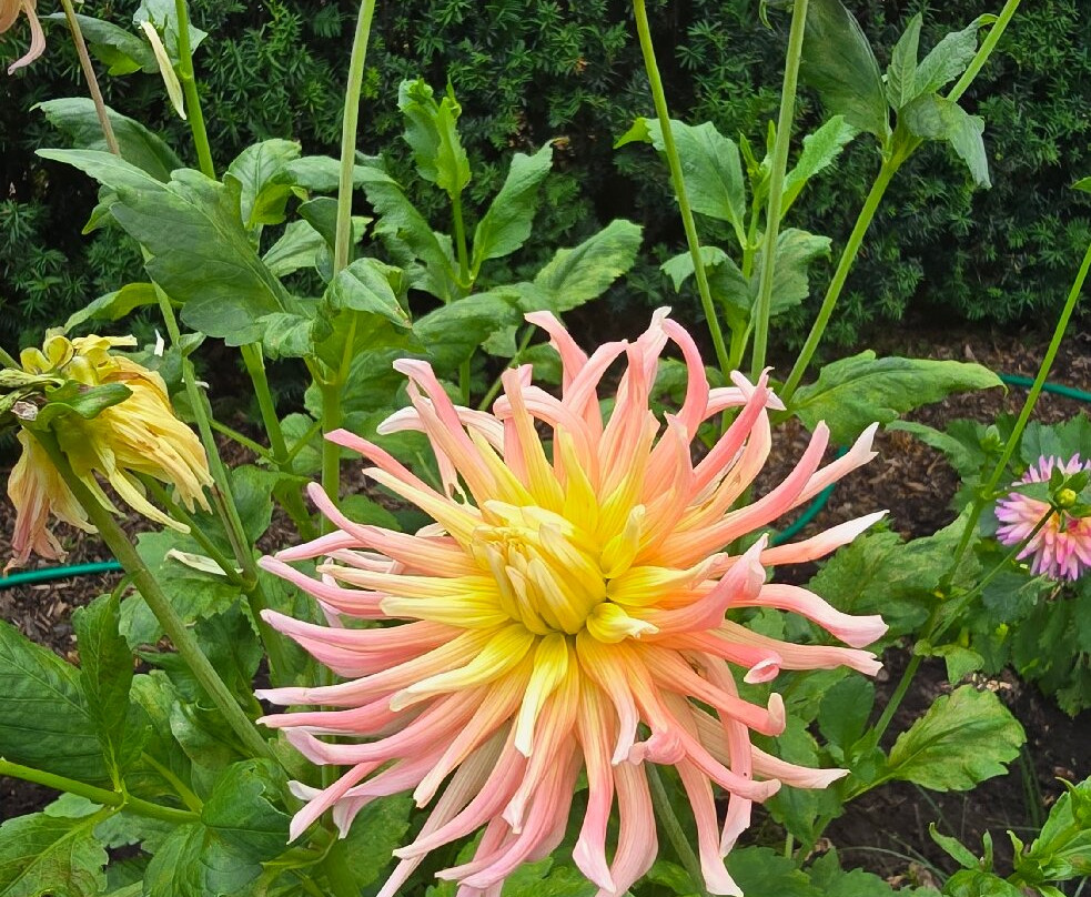 De Luie Tuinman-Ruinen必去景点