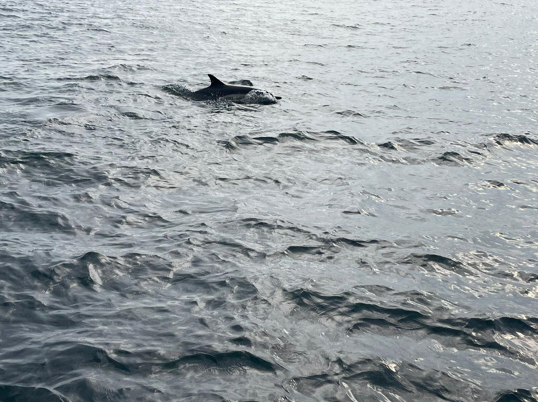 Skellig Coast Adventures-Portmagee必去景点