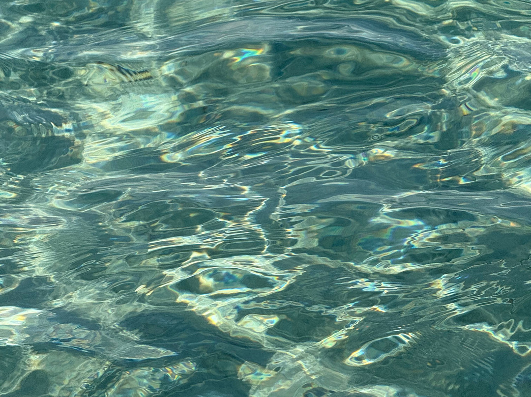 Amato Escursioni Nautiche di Daniele Amato-Asinara必去景点