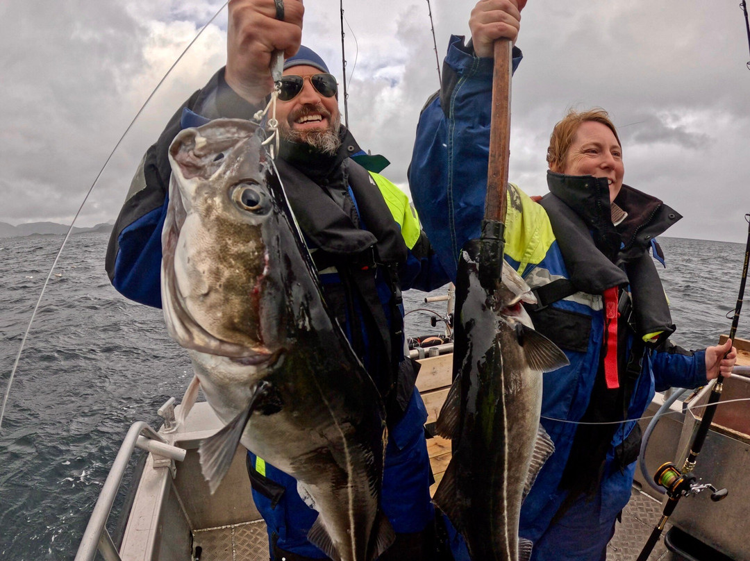 Arctic Spearfishing & guided fishing-Ballstad必去景点