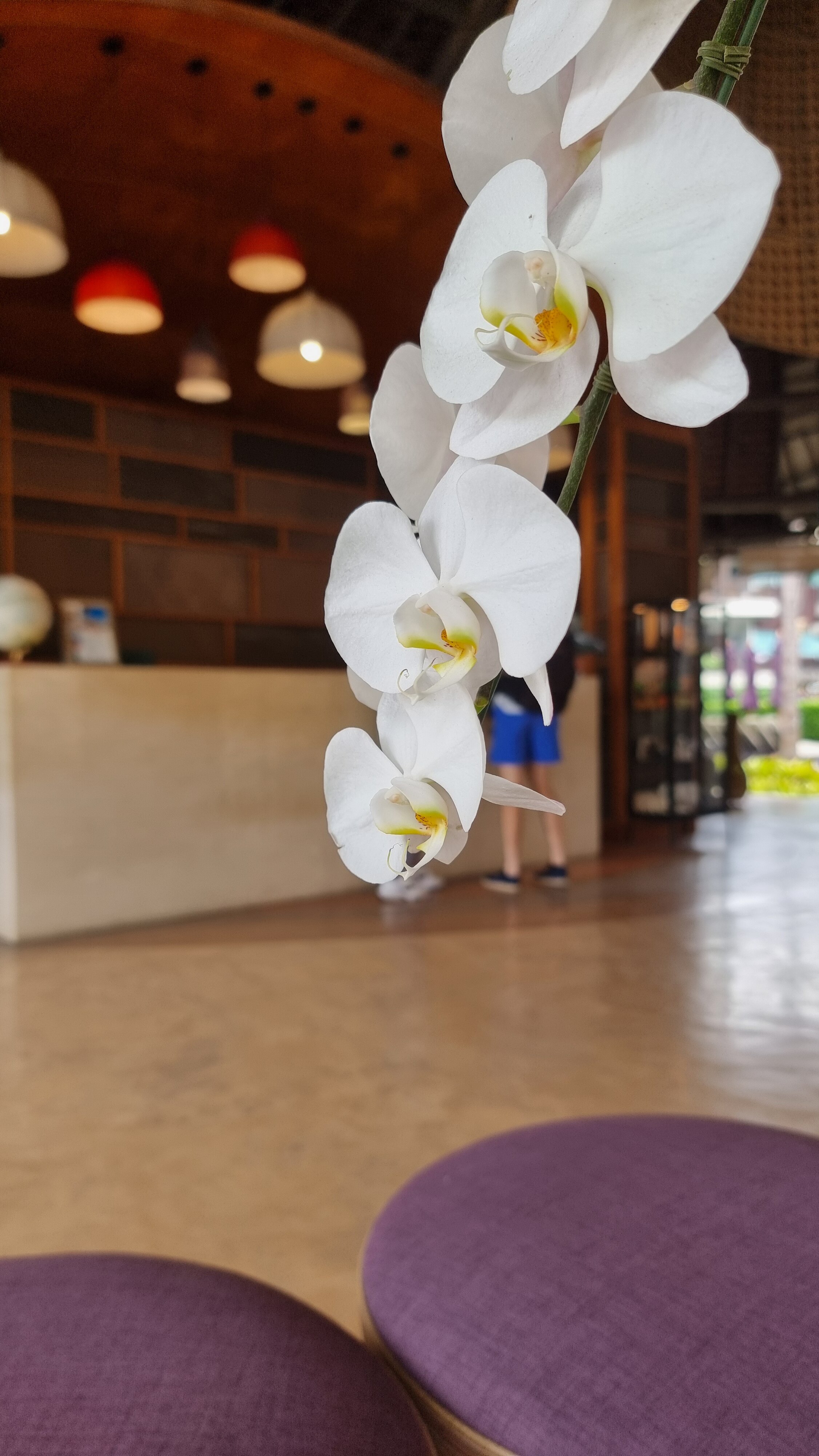 普拉纳南达度假酒店-浴室