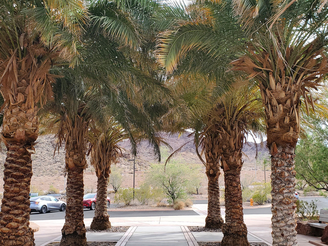 Lake Mead Visitor Center-博尔德城必去景点