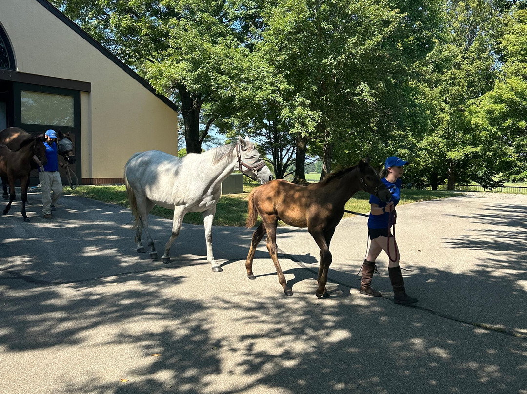Godolphin-列克星敦必去景点