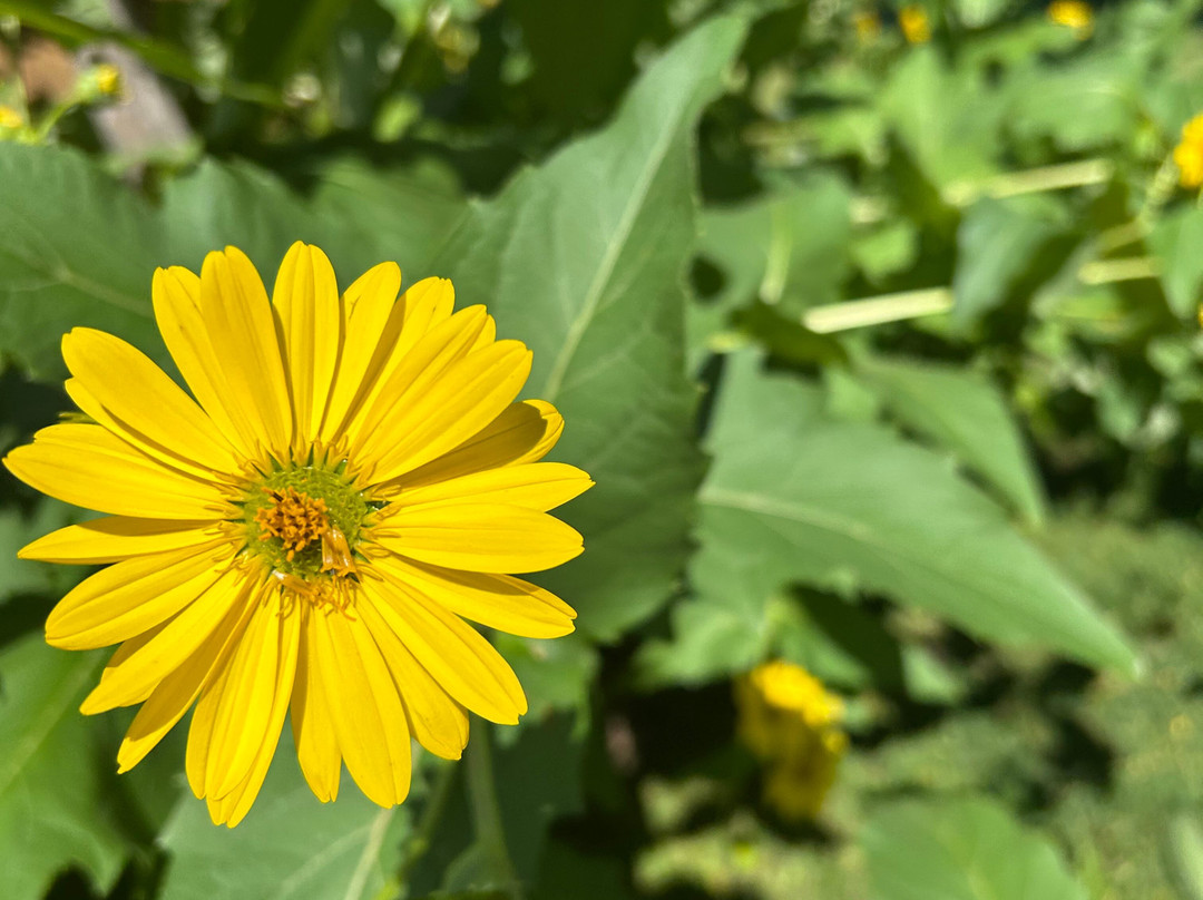 Waterview On The Bay主图