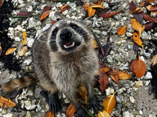 Oleta River Outdoor Center-北迈阿密海滩必去景点