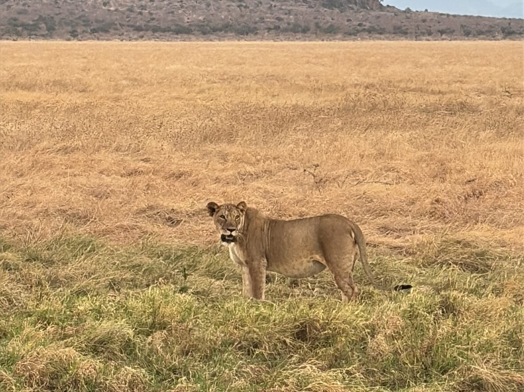 Aventure Safaris-蒙巴萨必去景点