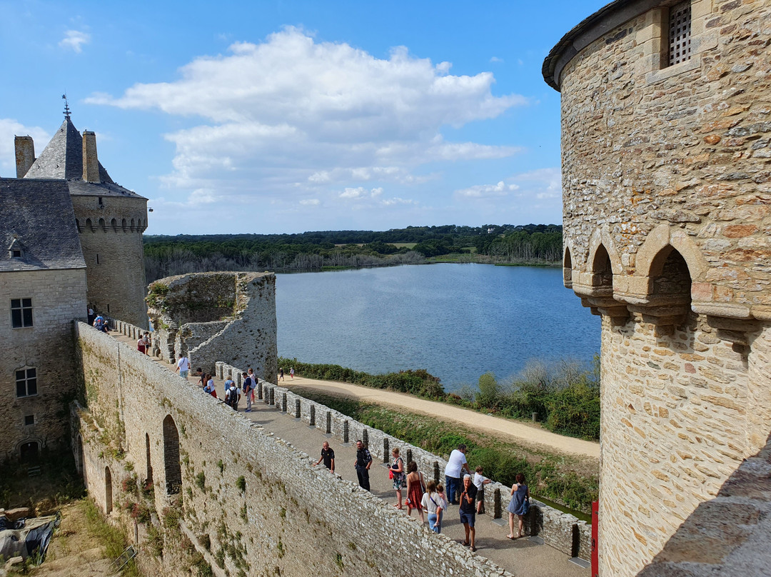 Chateau Suscinio