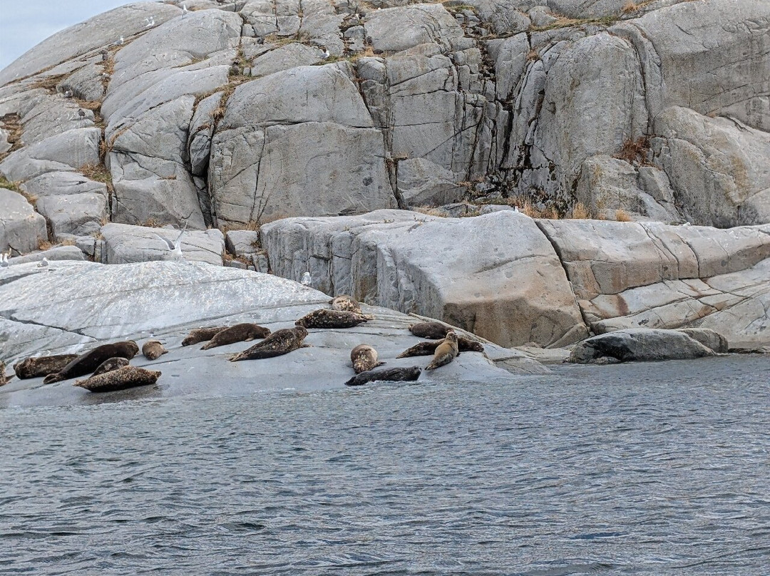 Terracentric Coastal Adventures-Lund必去景点