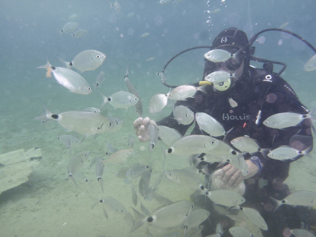 Underwater park Punat-普纳特必去景点