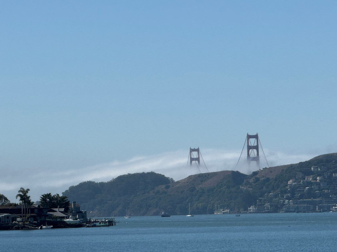 Blackie's Pasture-Tiburon必去景点